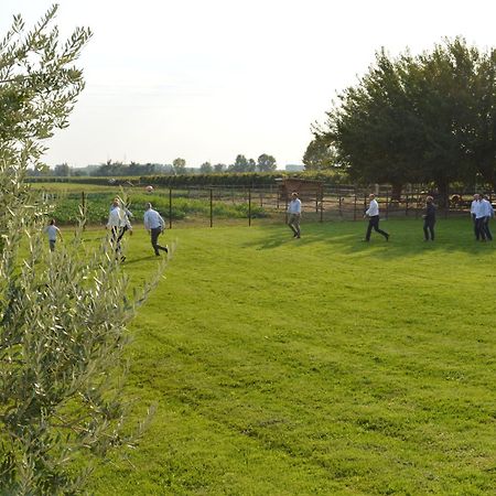 Agriturismo Al Casale Lonigo Zewnętrze zdjęcie